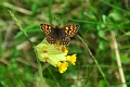 17 05 15_4138_edited-1